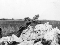 1945-Krzyż w Głowaczowej  fot. A.Saran